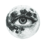 Elmoon: Born From a Vibe, Not a Formula