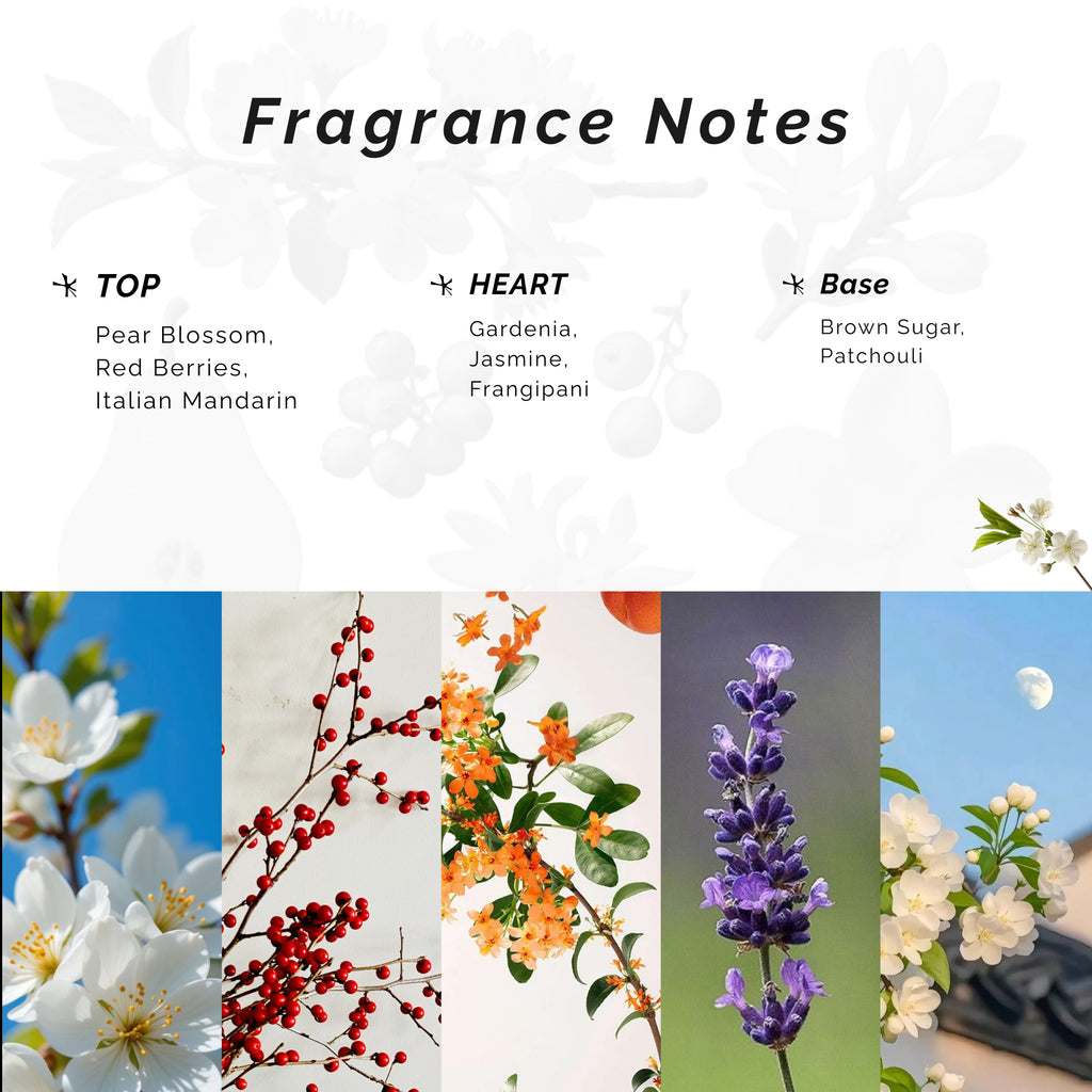 Anavé – Eau De Parfum 100ml for Women - Elmoon