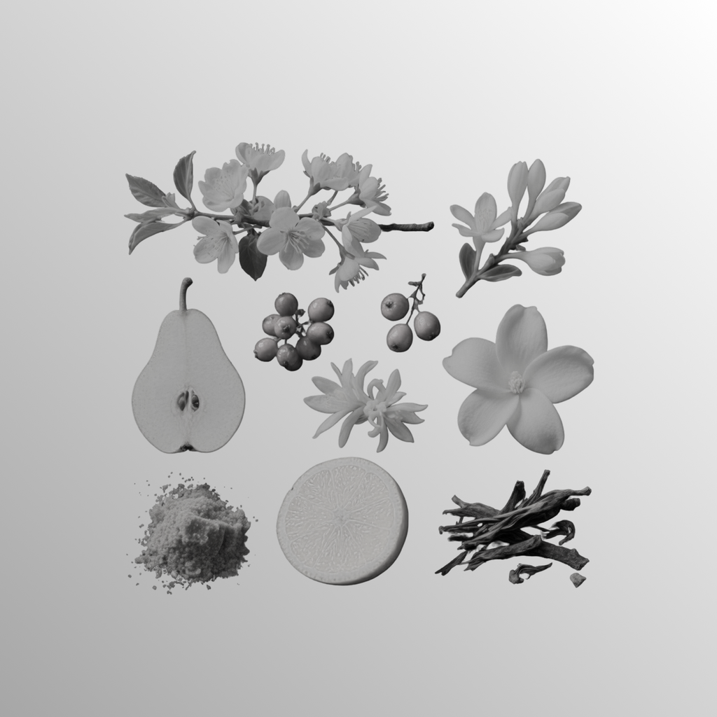 Anavé – Eau De Parfum 100ml for Women - Elmoon