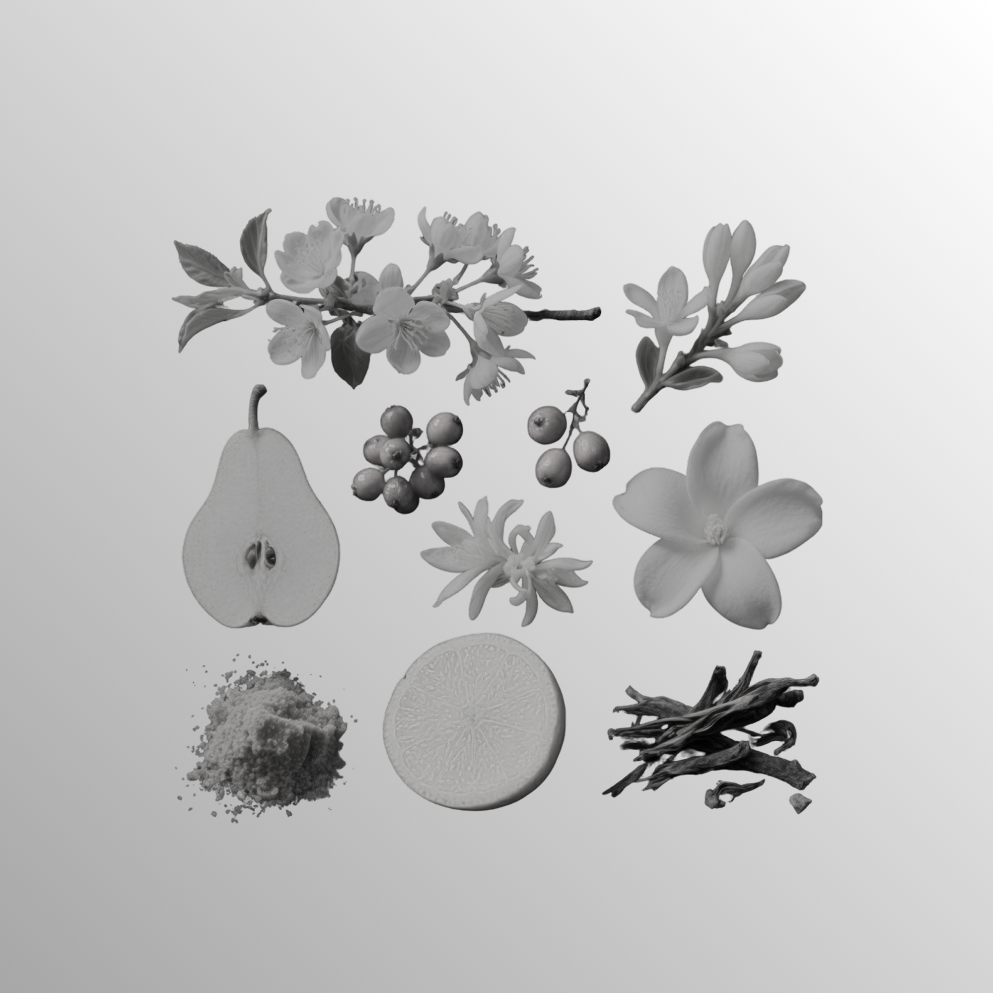 Anavé – Eau De Parfum 100ml for Women - Elmoon