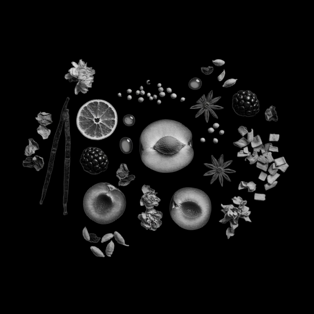 Draymor – Eau De Parfum 100ml for Men - Elmoon