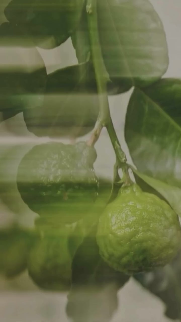 Orren – Eau De Parfum 100ml for Men